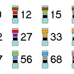 Schemat budowy rezystora z kolorowymi paskami i odpowiadającymi im wartościami: 10, 12, 15, 18, 22, 27, 33, 39, 47, 56, 68, 82.